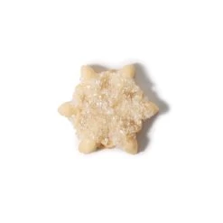 Good Grips Cookie Press Disk Set | OXO 28 Good Grips Cookie Press Disk Set | OXO -Kitchen Supply Store 11177800 6 snow flake decorated