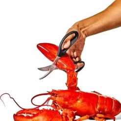 Seafood Scissors -Kitchen Supply Store gg 11350600 seafoodscissors 03 p